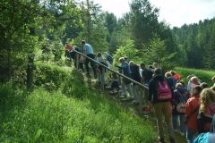 2025-06-14_Put_Litmanova-KK_006